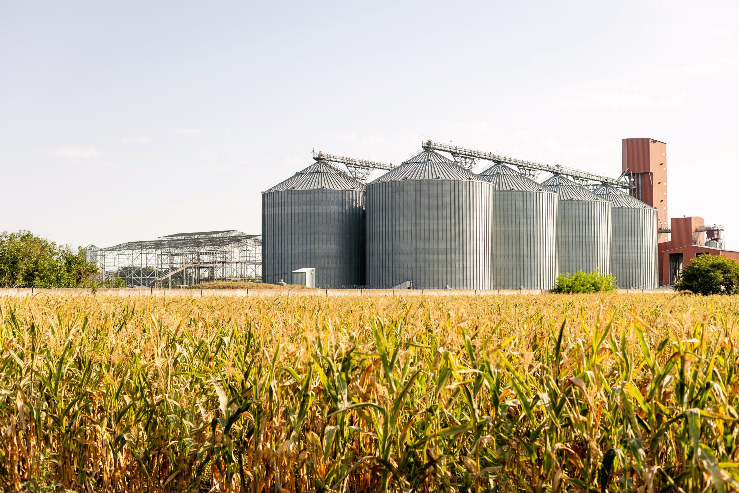 Agro,Silos,Granary,Elevator,With,Seeds,Cleaning,Line,On,Agro-processing