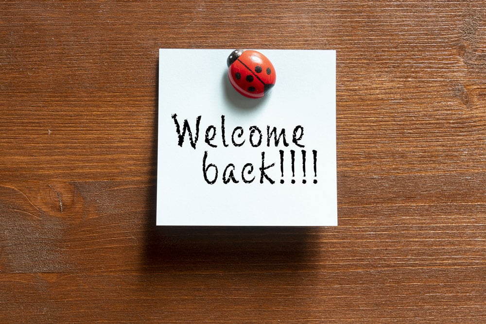 "Welcome back!!!!" Written on a post-it note with a lady bug on the note